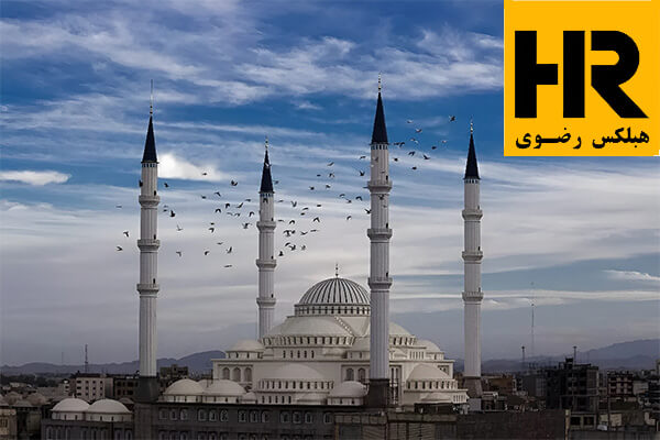 نمایندگی هبلکس رضوی در زاهدان